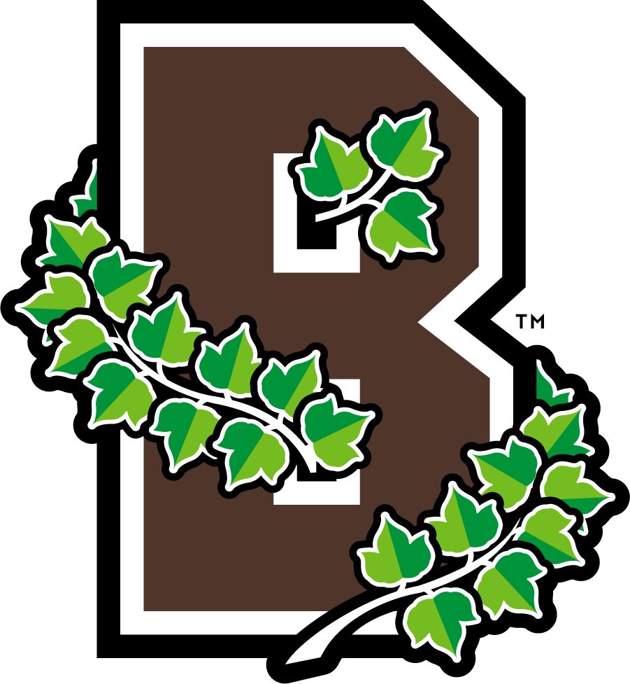 Brown Bears 2013-2018 Secondary Logo diy DTF decal sticker